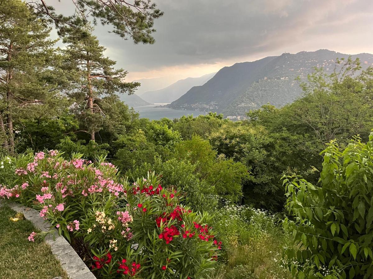 Studio - Villa Cardano Como Buitenkant foto